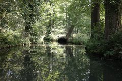 Burg-Kauper (Spreewald)